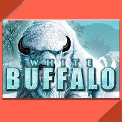 white-buffalo-cotoyez-bisons-blancs-repartez-gain-non-negligeable